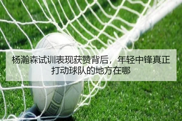 img_1782363723353_5_1_733.jpg